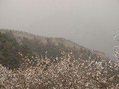 060426_035