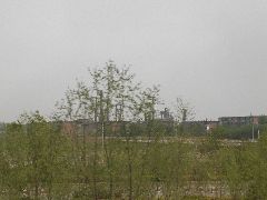 060427_008