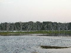 040901_25