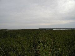 040902_03