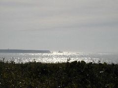 040904_11