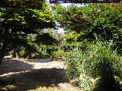 080812_019