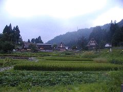 080812_101