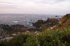 071212_003